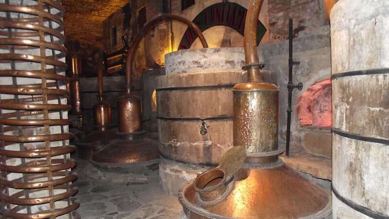 From Guadalajara: Visiting Hacienda Casa herradura. Unique! - Who will enjoy this half-day outing