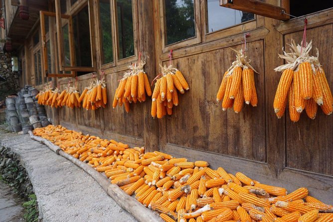 From Guilin/Yangshuo: Longji Rice Terraces and Ethnic Minority Village Day Tour - Lunch at a farmer’s house