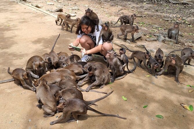 From Ho Chi Minh: Can Gio Trek – Monkey Island & Crocodile Farm - Seafood market, coastal lunch, and local life