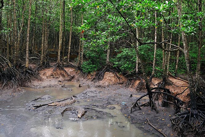 From Ho Chi Minh: Can Gio Trek – Monkey Island & Crocodile Farm - The optional boat ride and what it really feels like