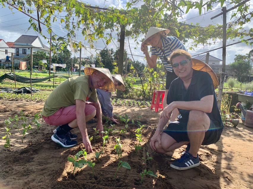 From Hoi An: Cooking Class at Organic Farm - The Honest Drawbacks