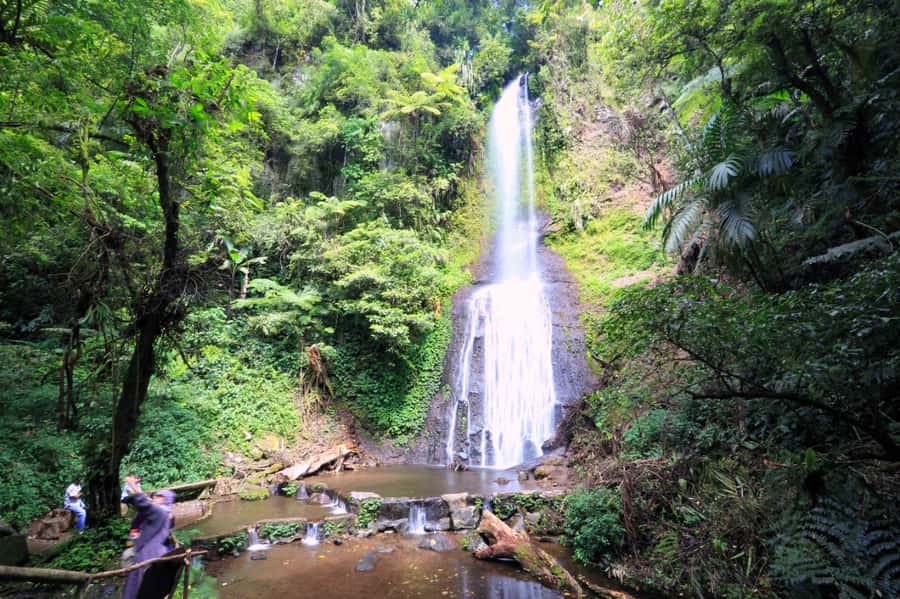 From Jakarta: Safari Park, Tea Plantation & Jaksa Waterfall - Key points at a glance