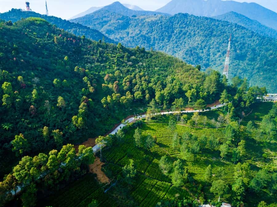 From Jakarta: Safari Park, Tea Plantation & Jaksa Waterfall - Starting from Jakarta and dealing with the roads