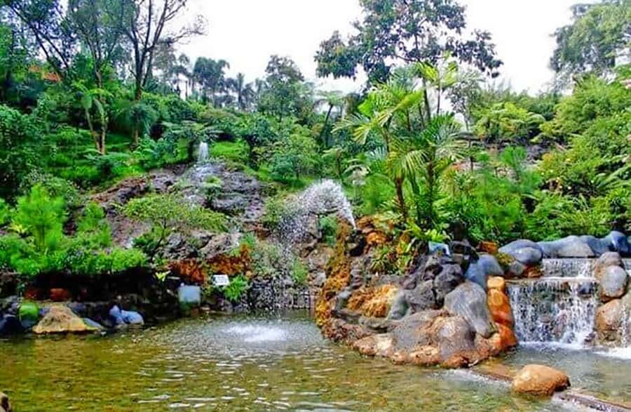 From Jakarta : Volcano, Tea & Rice Fields, Hot Spring - Who should book this Bandung day trip?
