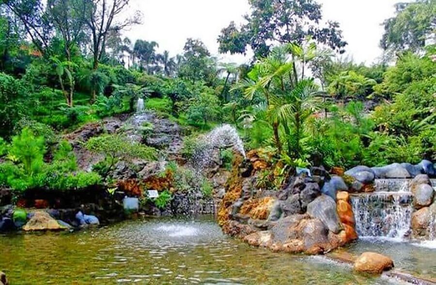 From Jakarta : Volcano, Tea & Rice Fields, Hot Spring - Tea plantations around Bandung’s volcano country