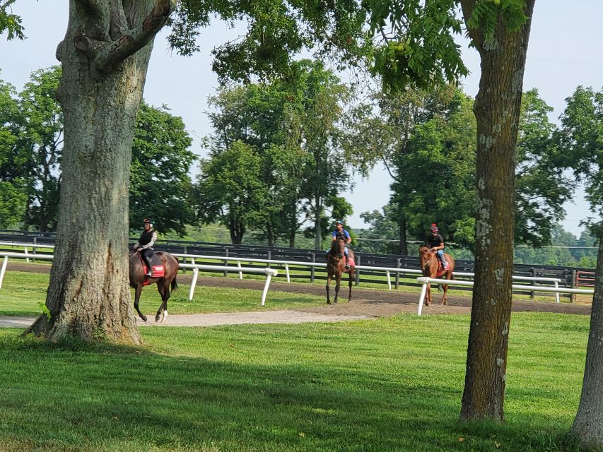 From Lexington: Kentucky Horse Farms Tour - What this Lexington horse farm tour is really about