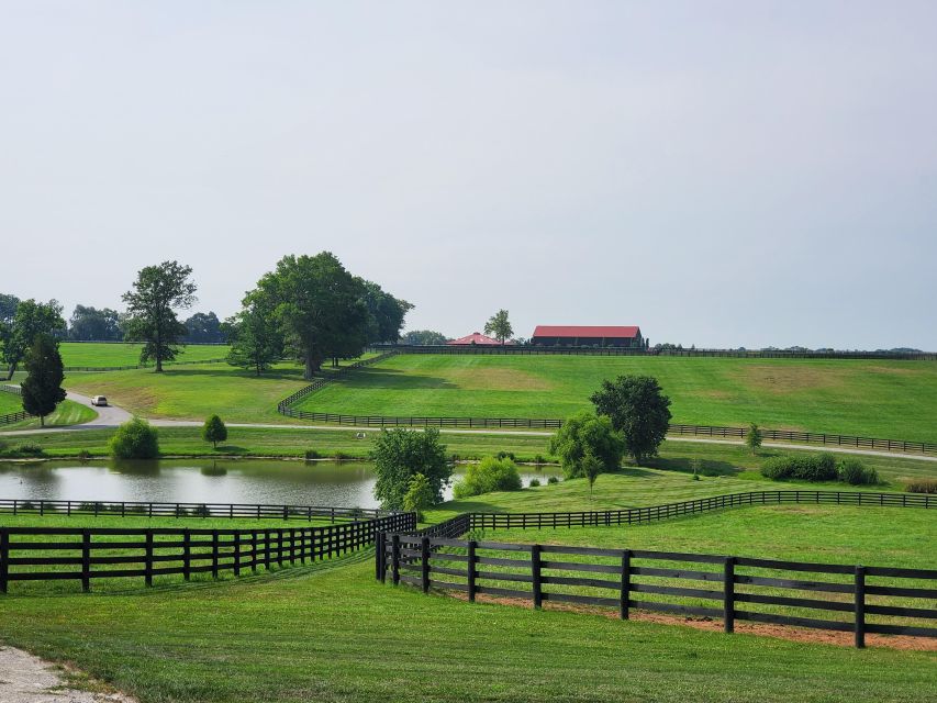 From Lexington: Kentucky Horse Farms Tour - Meeting the horses and feeding peppermints