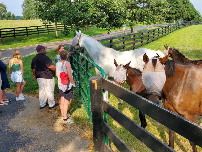 From Lexington: Kentucky Horse Farms Tour - The guides are the heart of the tour