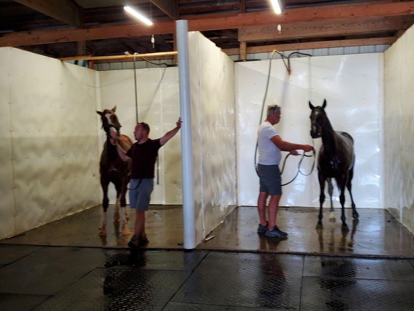 From Lexington: Kentucky Horse Farms Tour - What the three-hour schedule means for you