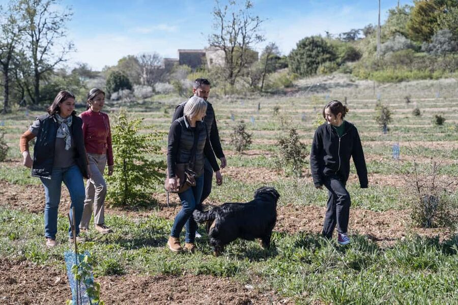 From location: Truffle farm visit, culinary workshop, meal - Key points at a glance