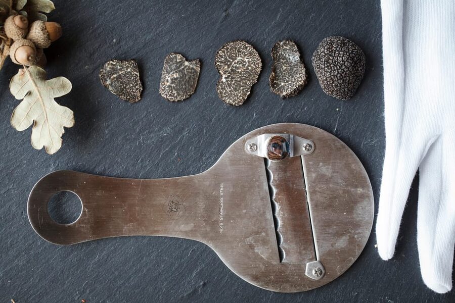 From location: Truffle farm visit, culinary workshop, meal - Who will enjoy this experience most?