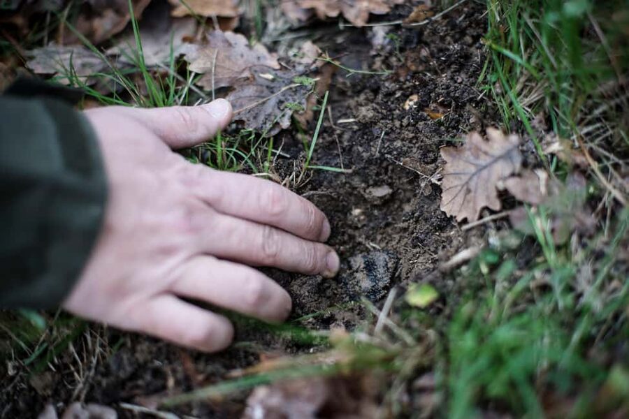 From location: Truffle farm visit, culinary workshop, meal - The 45-minute farm visit at Maison de Garniac