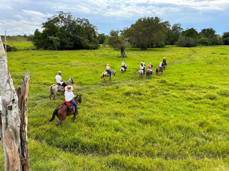 From Medellin; (All-In) The Real Horseback Ranch Experience - Key points to know before you book