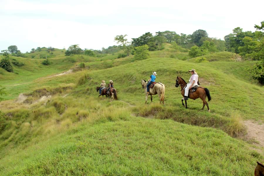 From Medellin; (All-In) The Real Horseback Ranch Experience - Who will enjoy NAYRA most