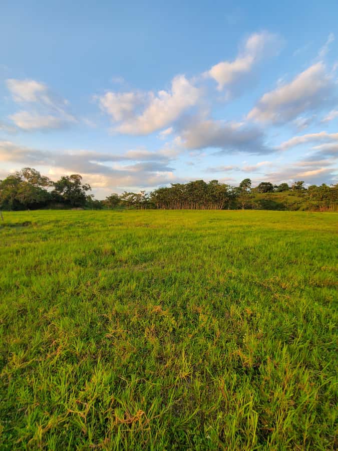 From Medellin; (All-In) The Real Horseback Ranch Experience - Riding through fields, forest, and water