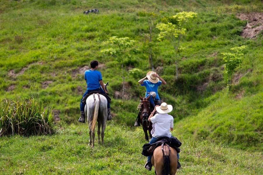 From Medellin; (All-In) The Real Horseback Ranch Experience - Is $250 a fair price?