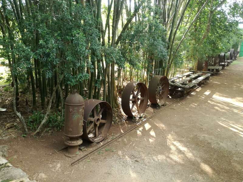 From Merida: Uxmal, Hacienda Yaxcopoil and Cenote with Lunch - Three Yucatán stories in one long day