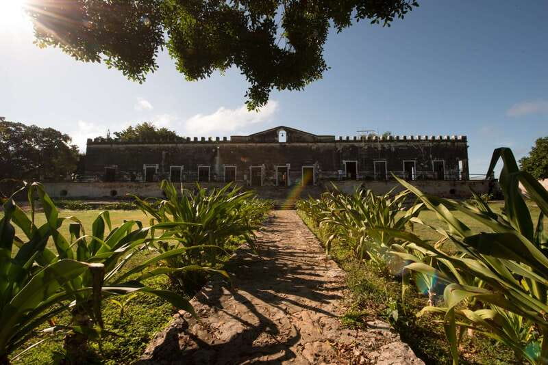 From Merida: Uxmal, Hacienda Yaxcopoil and Cenote with Lunch - A short swim at Cenote Peba