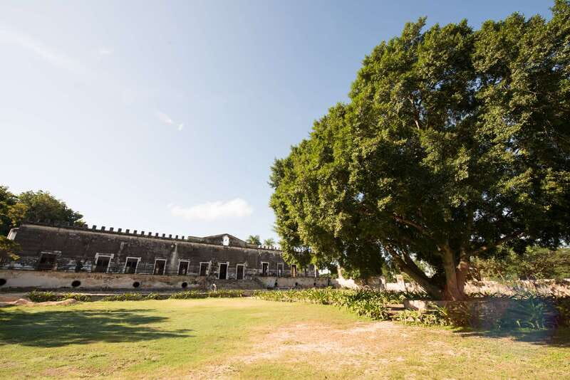 From Merida: Uxmal, Hacienda Yaxcopoil and Cenote with Lunch - The guide can shape the whole day