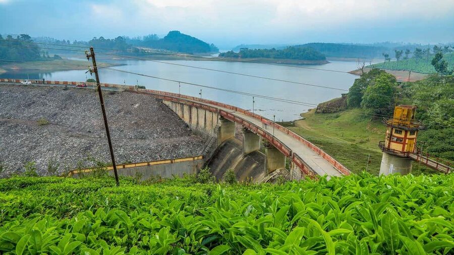 From Munnar: Tea Factory, Plantation, and National Park Tour - What the $89 price includes