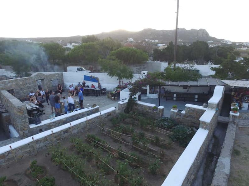 From Mykonos: Ano Mera Farm Tour - Who will enjoy this farm tour most