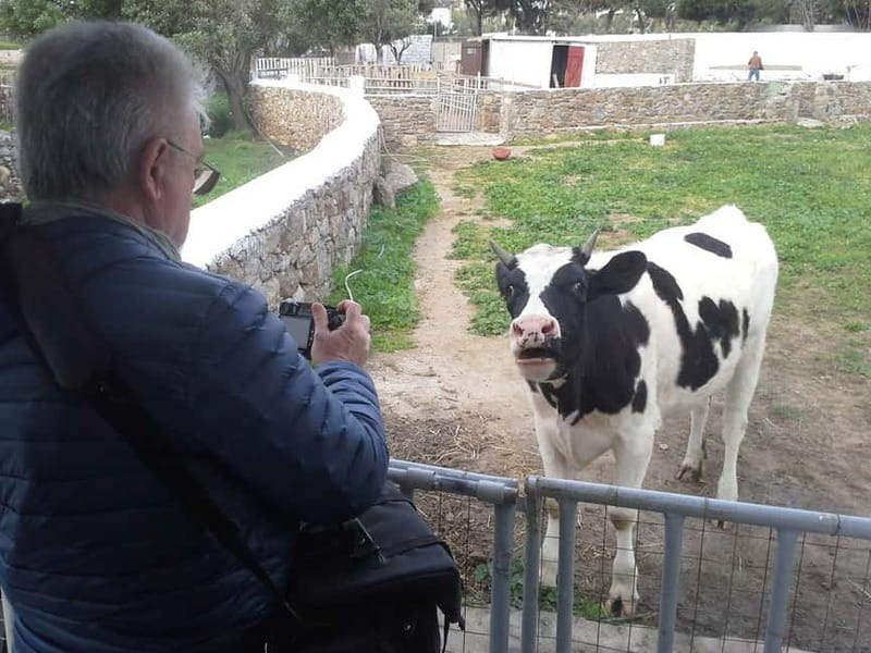 From Mykonos: Ano Mera Farm Tour - Leaving Mykonos Town for Ano Mera