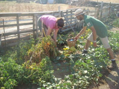 Ano Mera Farm Tour