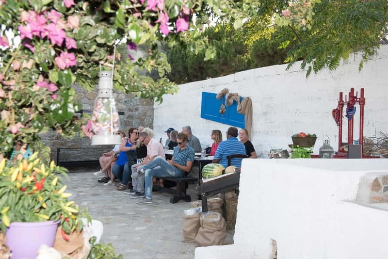 From Mykonos: Ano Mera Farm Tour - Trying the work, or taking it easy