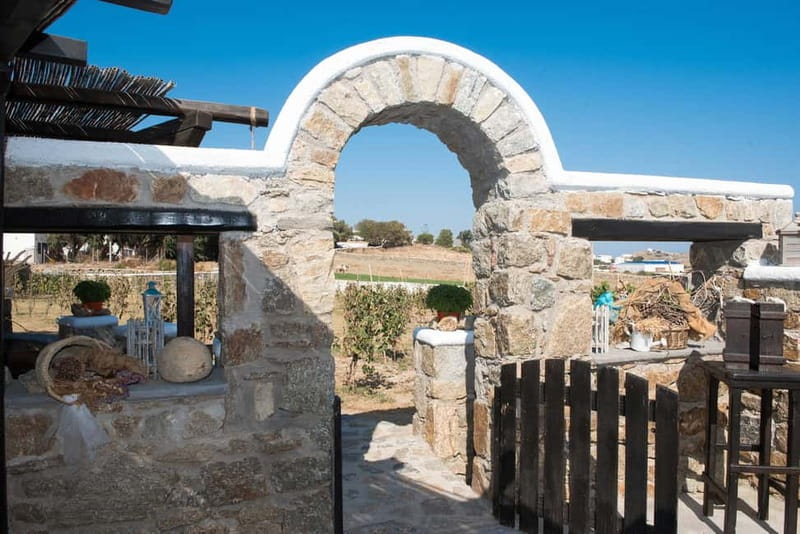 From Mykonos: Ano Mera Farm Tour - Animals are part of the visit, but contact is limited