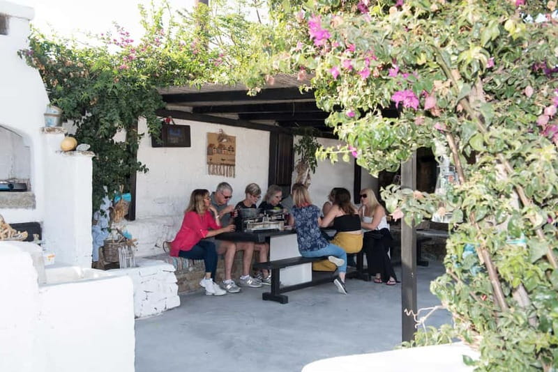From Mykonos: Ano Mera Farm Tour - What $51 buys you