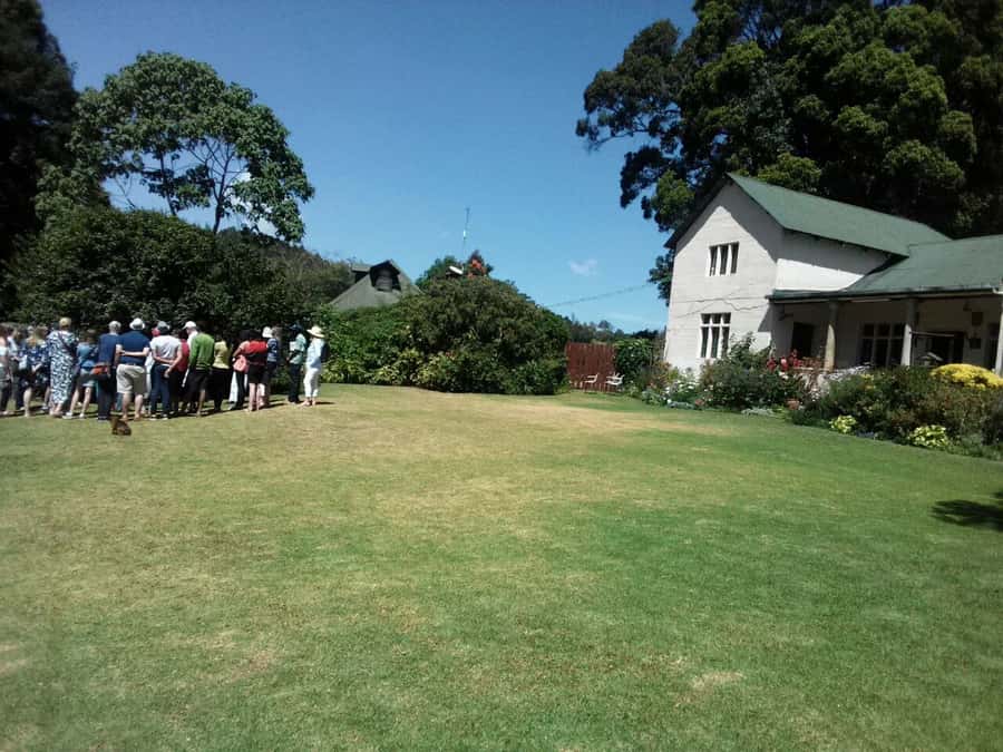 From Nairobi: Kiambethu Tea Farm Tour & Lunch - Booking details worth knowing
