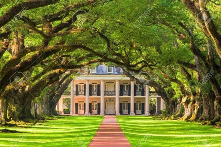 From New Orleans: Oak Alley and Laura Plantation Guided Tour - The 8:30 AM pickup from New Orleans