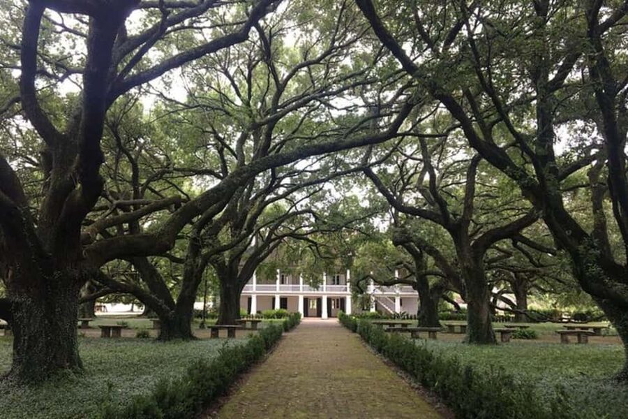 From New Orleans: Oak Alley and Laura Plantation Guided Tour - The honest verdict on Oak Alley and Laura