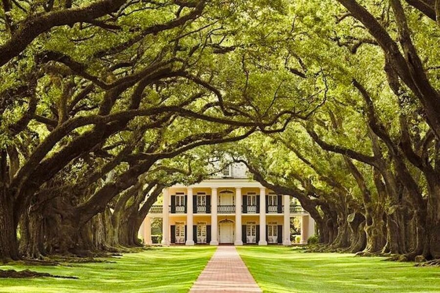 From New Orleans: Oak Alley or Laura Plantation Tour - The morning pickup from New Orleans