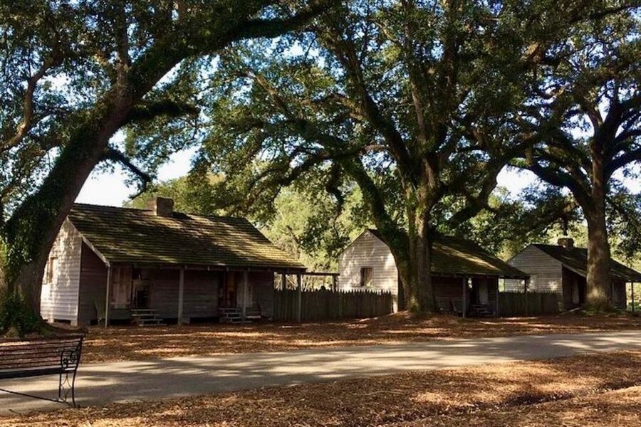 From New Orleans: Oak Alley or Laura Plantation Tour - How to choose between Laura and Oak Alley