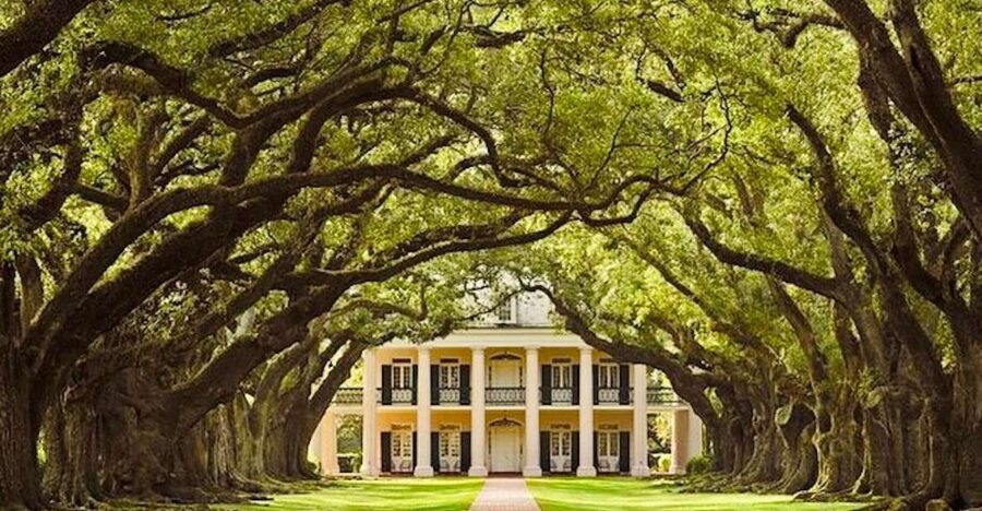 From New Orleans: Oak Alley or Laura Plantation Tour - Why Laura Plantation suits history-focused visitors
