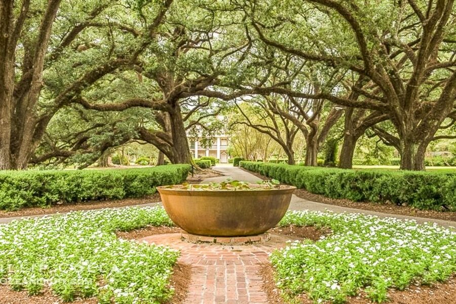 From New Orleans: Oak Alley Plantation Tour - Why the Oak Alley approach is worth the drive