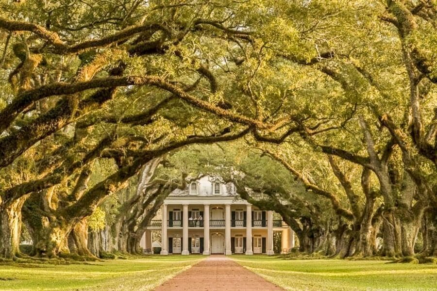 From New Orleans: Oak Alley Plantation Tour - The $75 price: fair value, with limits