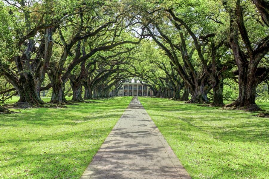 From New Orleans: Oak Alley Plantation Tour - Smart ways to get more from the visit
