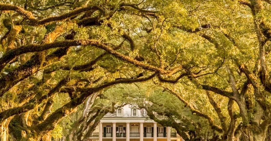 From New Orleans: Oak Alley Plantation Tour - Inside the Greek Revival plantation house