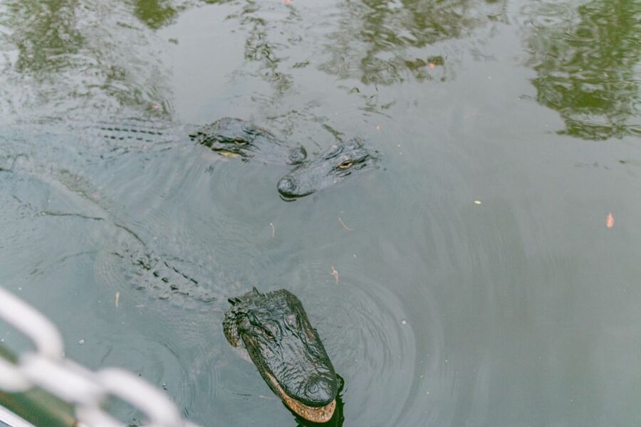 From New Orleans: Swamp Airboat, 2 Plantation Tours & Lunch - Laura Plantation and the stories behind the house