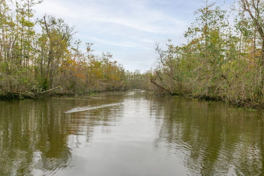 From New Orleans: Swamp Airboat, 2 Plantation Tours & Lunch - Is $279 a fair price?