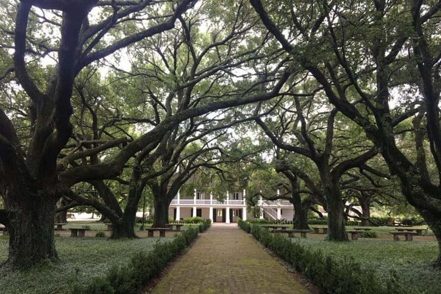 From New Orleans: Whitney Plantation and Airboat Tour Combo - Walking the cabins, church, and working buildings