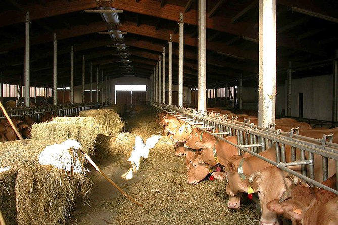 From Parma: Parmigiano Reggiano Farm Tour & Tasting with Transfer - Is $89.49 a Fair Price?