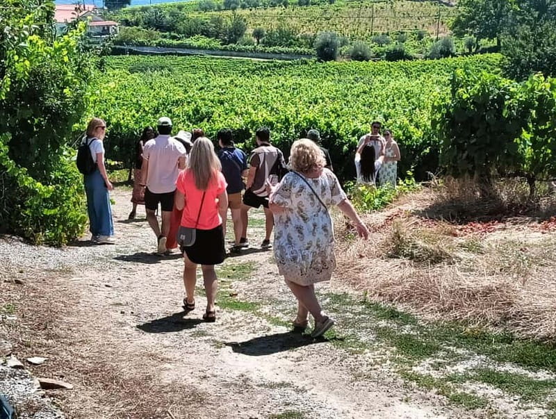 From Porto: 2 Wine Regions, Farm Lunch, and Boat Ride - Why this Douro Valley day trip works so well