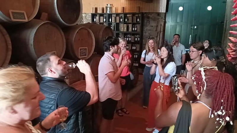 From Porto: 2 Wine Regions, Farm Lunch, and Boat Ride - Is the $112 price good value?