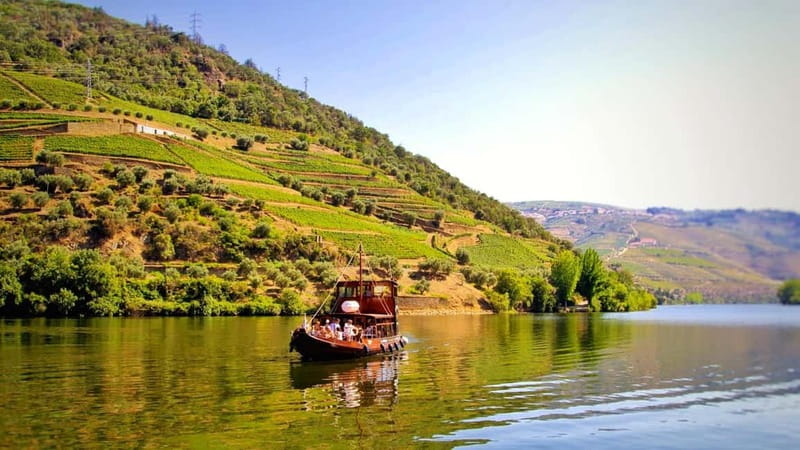 From Porto: 2 Wine Regions, Farm Lunch, and Boat Ride - Leaving Porto for the hills