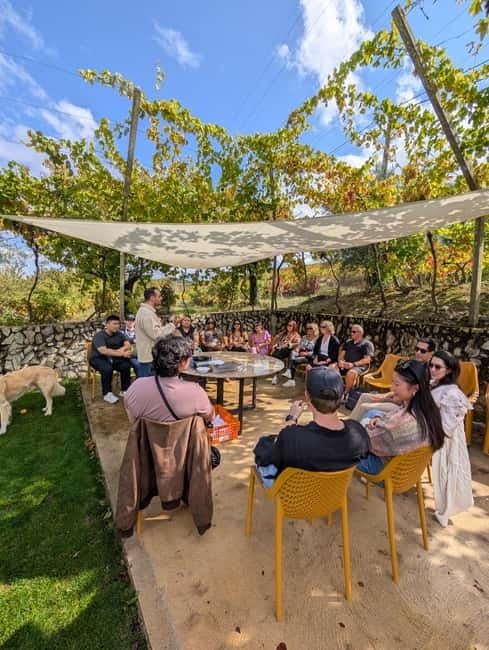 From Porto: 2 Wine Regions, Farm-to-Table Lunch & Boat - Tasting Port, Douro wines, and fire-opened Vintage Port