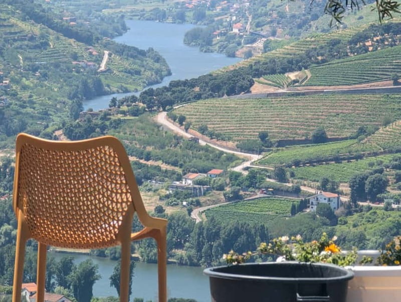 From Porto: 2 Wine Regions, Farm-to-Table Lunch & Boat - How the $94 price compares