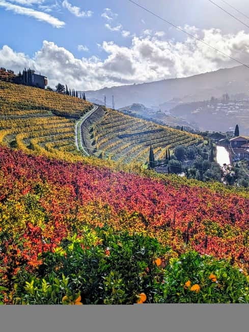 From Porto: 2 Wine Regions, Farm-to-Table Lunch & Boat - Who should book, and who should skip it